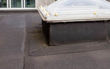 disadvantages of Winterborne Muston flat roofs