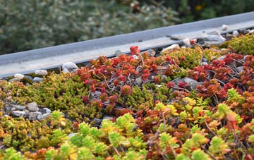 the cost of Winterborne Muston green roof installation