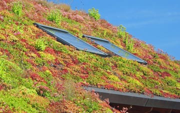 Winterborne Muston living roof systems