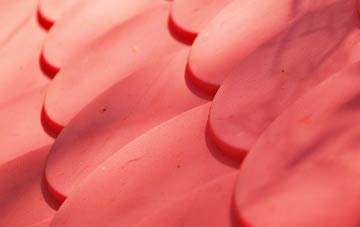 Winterborne Muston plastic roof costs