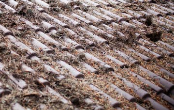 Winterborne Muston roof cleaning companies