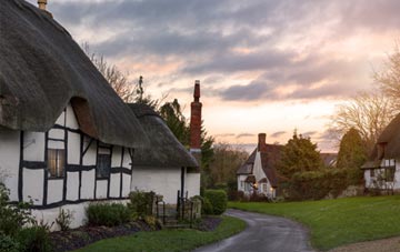 is Winterborne Muston thatch roofing popular