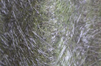 Winterborne Muston fibreglass roof work