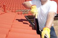 Winterborne Muston roof cleaners