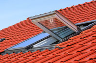 Winterborne Muston roof window